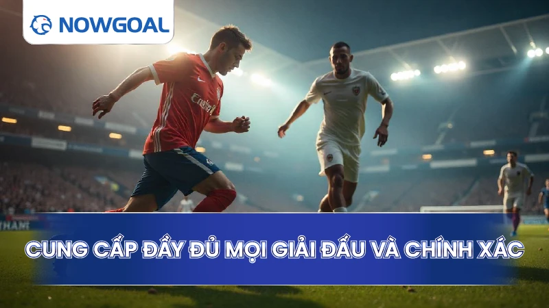 Cung cấp đầy đủ mọi giải đấu và chính xác